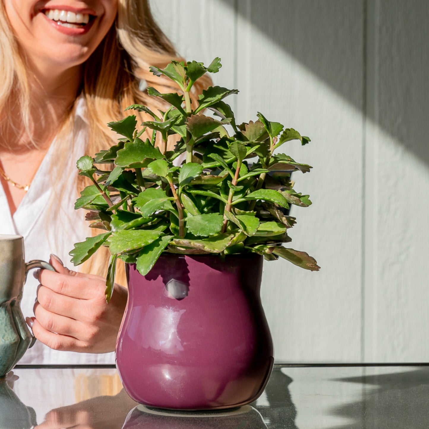 Ceramic plant pot with rubber liner in violet purple by Happy Roots Plant Pots holding a leafy plant on Tampa Home & Garden Store