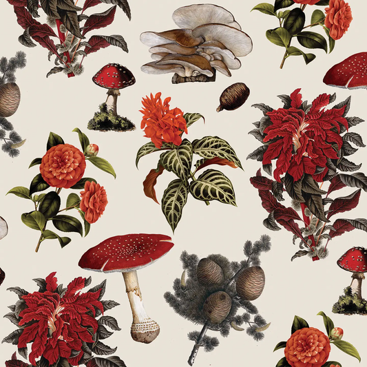 Shrooms wallpaper Samantha Santana Creative in off white and red with mushroom blooms on Tampa Home & Garden Store