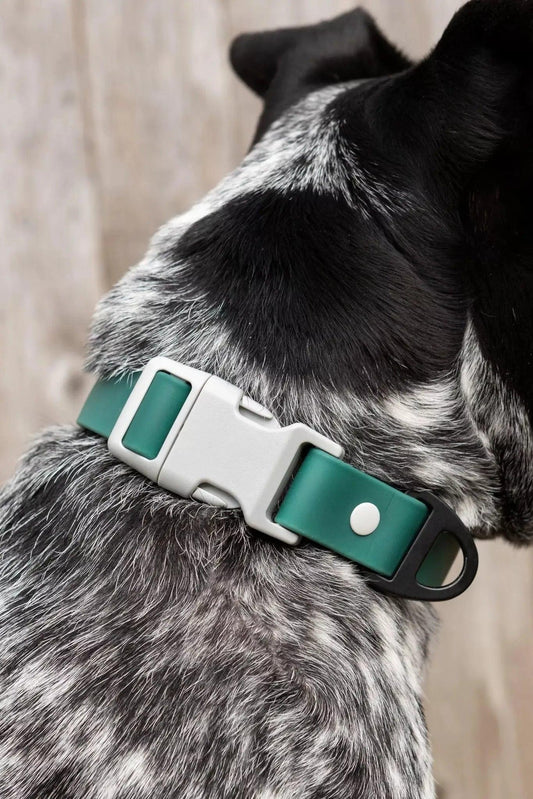 Siberian Spruce Waterproof Dog Collar - Tampa Home & Garden Store