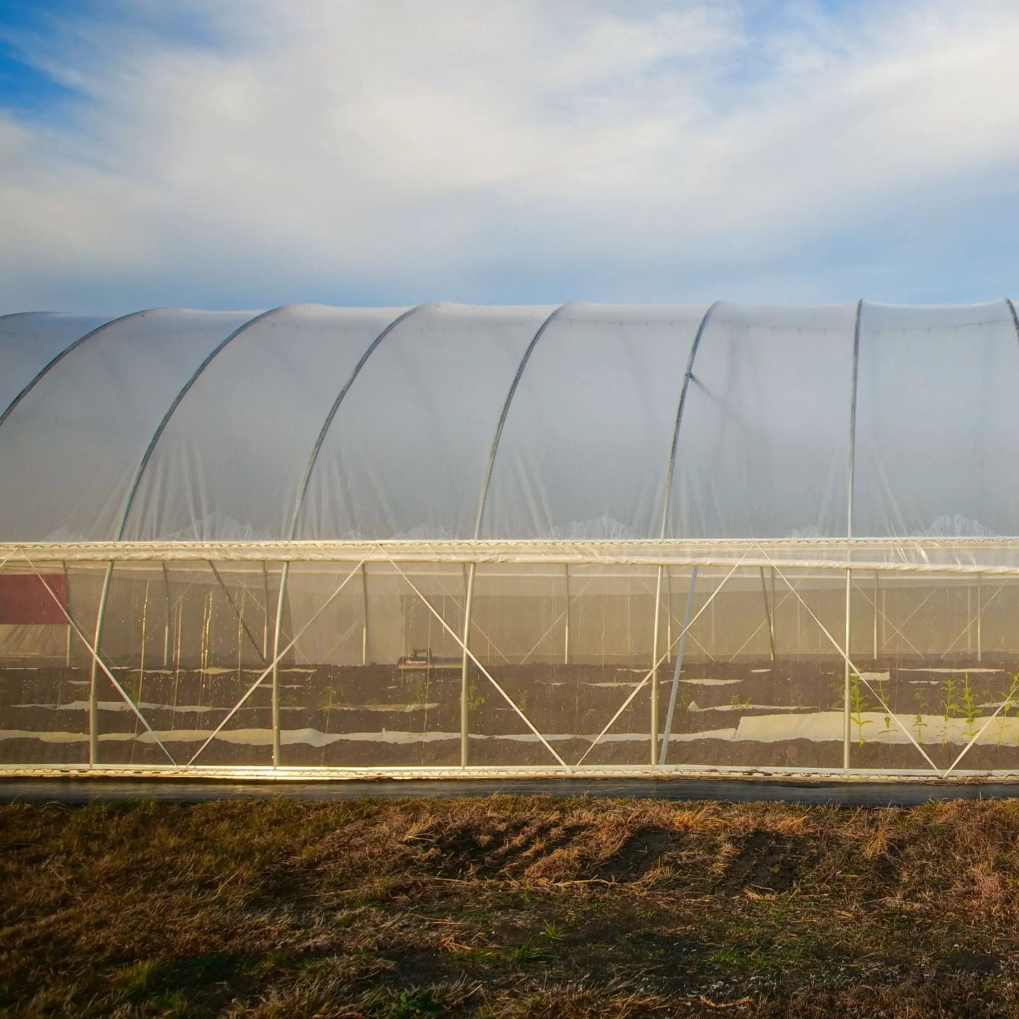 DIY Greenhouse Roll-Up Side Curtain Kit - Tampa Home & Garden Store