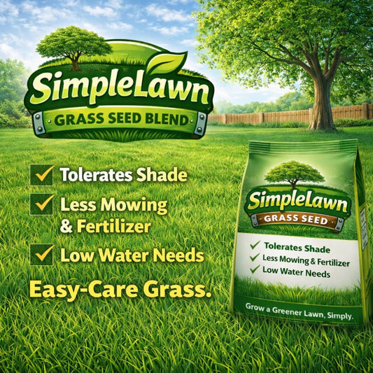 Simple Lawn Fine Fescue Grass Seed blend bag with bright green package, shade-tolerant on Tampa Home & Garden Store