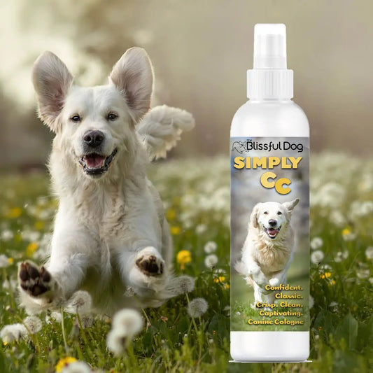 Simply CC Dog Cologne bottle by The Blissful Dog; white dog running through a sunlit meadow on Tampa Home & Garden Store