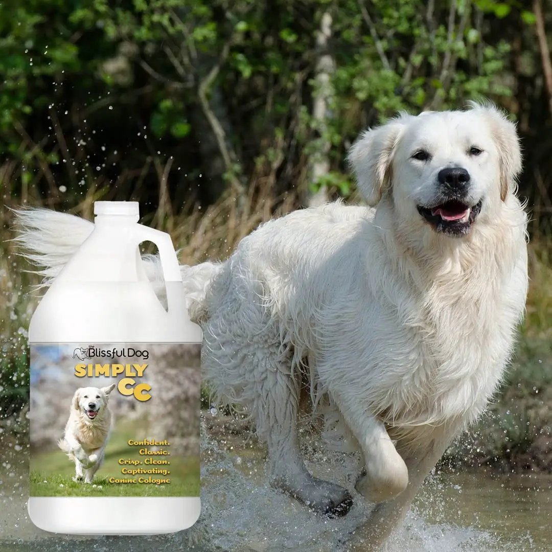 Simply CC Dog Cologne bottle, white plastic with The Blissful Dog label beside a joyful white dog on Tampa Home & Garden Store