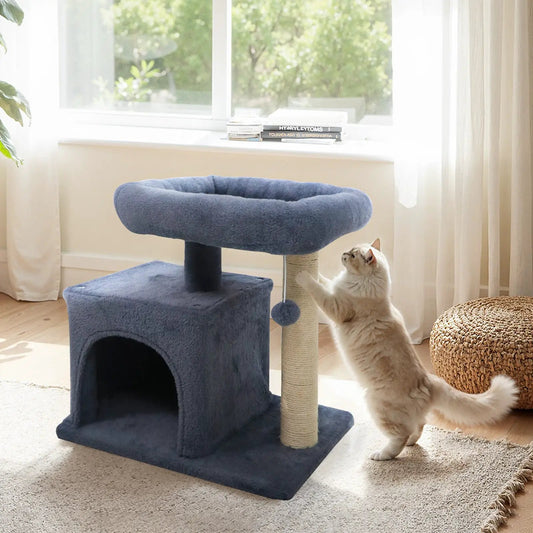 Small blue cat tree with plush round perch, cube den, and sisal post; cat beside on Tampa Home & Garden Store