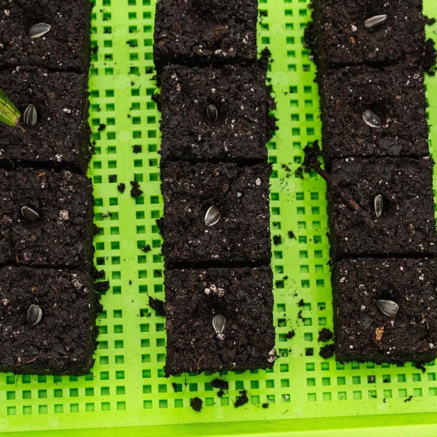 Soil Blocking Starter Kit - Tampa Home & Garden Store