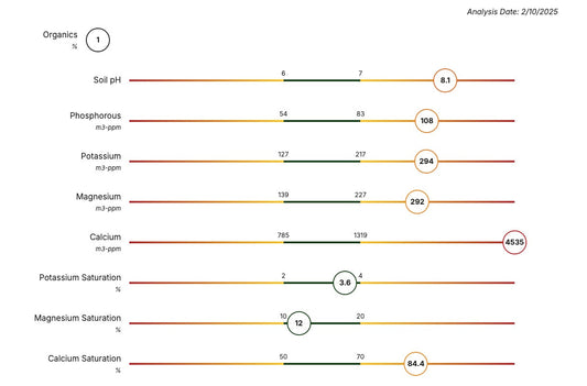 Soil Test Kit - Tampa Home & Garden Store