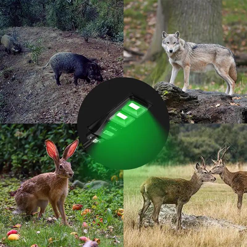 Solar Green Feeder Light for Hunting -10,000 lumens - Tampa Home & Garden Store