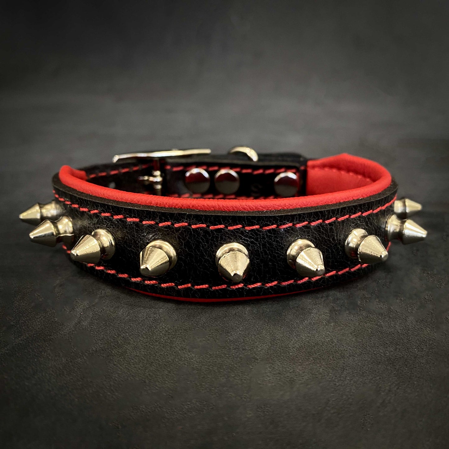"Spiky" collar - Tampa Home & Garden Store