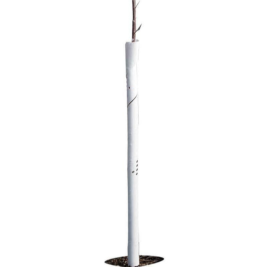 Spiral Tree Guards - 24" (Pack of 5) - Tampa Home & Garden Store