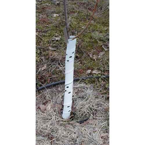 Spiral Tree Guards - 36" (Pack of 5) - Tampa Home & Garden Store