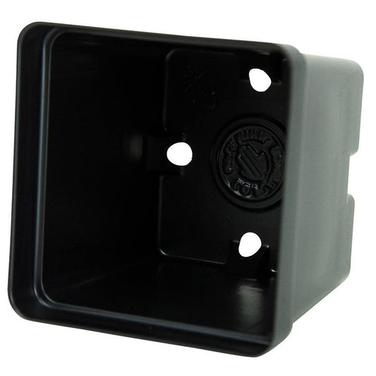 Square Plastic Pots - 4" - Tampa Home & Garden Store