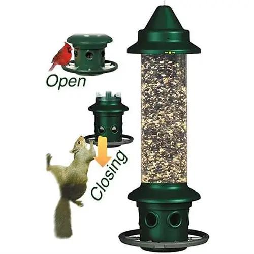 Squirrel-Proof Bird Feeder with Perch Ring, green plastic, HomePacific on Tampa Home & Garden Store