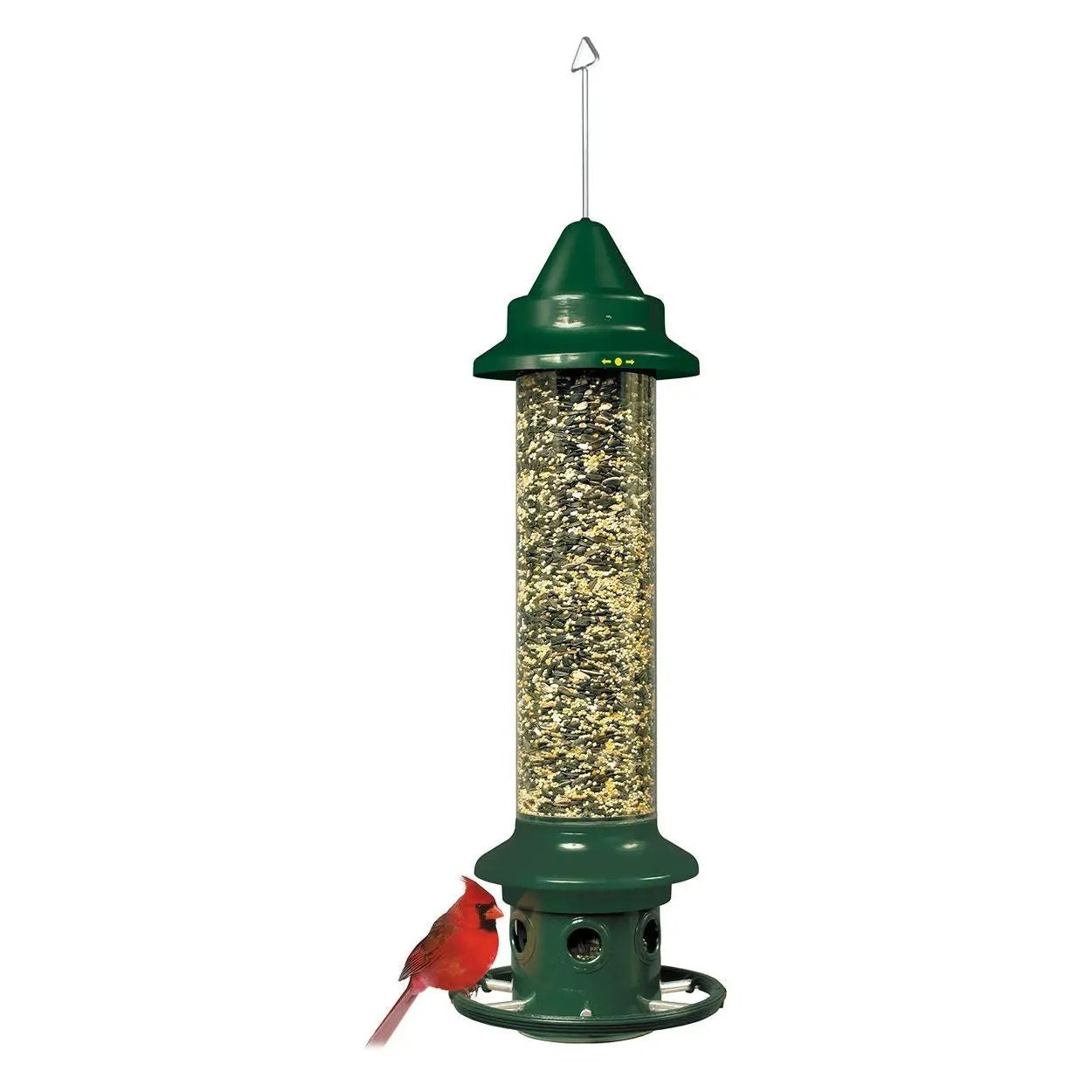 Squirrel-Proof Bird Feeder with Perch Ring, green metal tube feeder for outdoor birds on Tampa Home & Garden Store