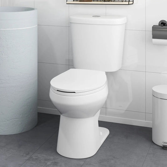 Standard one-piece toilet, white, 17.5 in ADA chair height by DirectDeals on Tampa Home & Garden Store