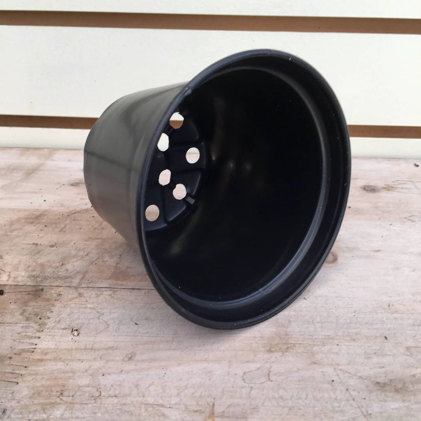 Starter kit: black plastic plant pot with drainage holes for one large plug on Tampa Home & Garden Store