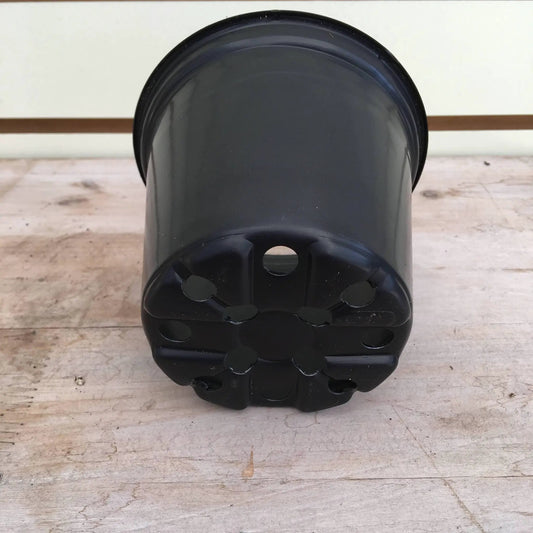 The Plant Farm® Starter Kit for two large plant plugs and soil in black plastic container on Tampa Home & Garden Store