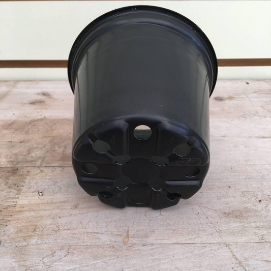 Starter Kit for 2 Large Plugs - Tampa Home & Garden Store