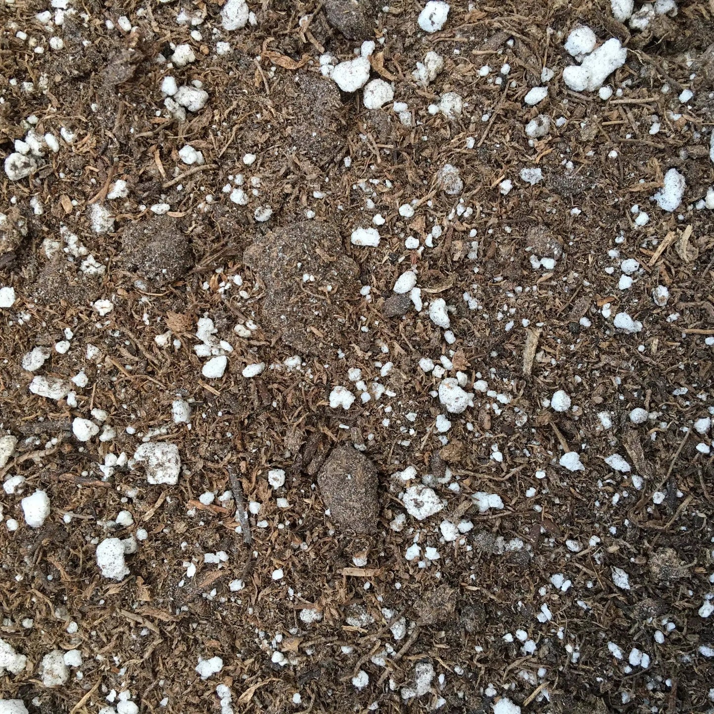 Starter Kit for 5 Small Plant Plugs and Soil brown soil mix with white perlite on Tampa Home & Garden Store