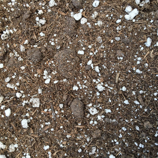 Starter Kit for 5 Small Plugs - Tampa Home & Garden Store