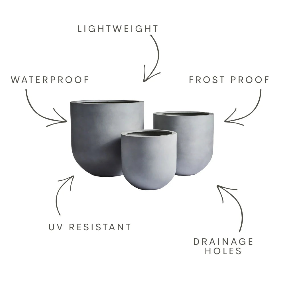 The Straight Up Planter | Small Contemporary Indoor Pot