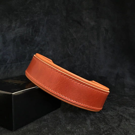 2 inch leather dog collar in warm tan with stitched edges on Tampa Home & Garden Store