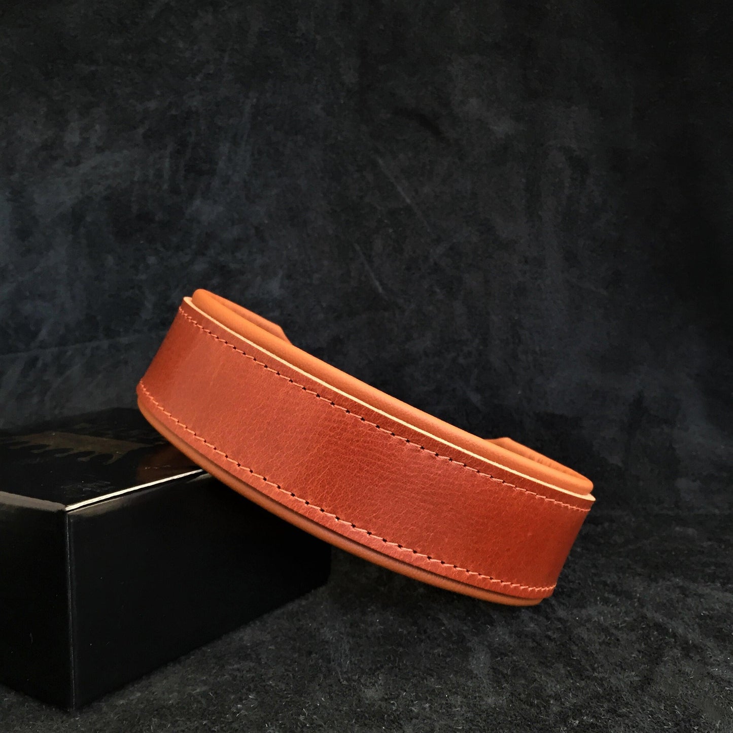 "Stylish" 2 inch wide dog collar - Tampa Home & Garden Store