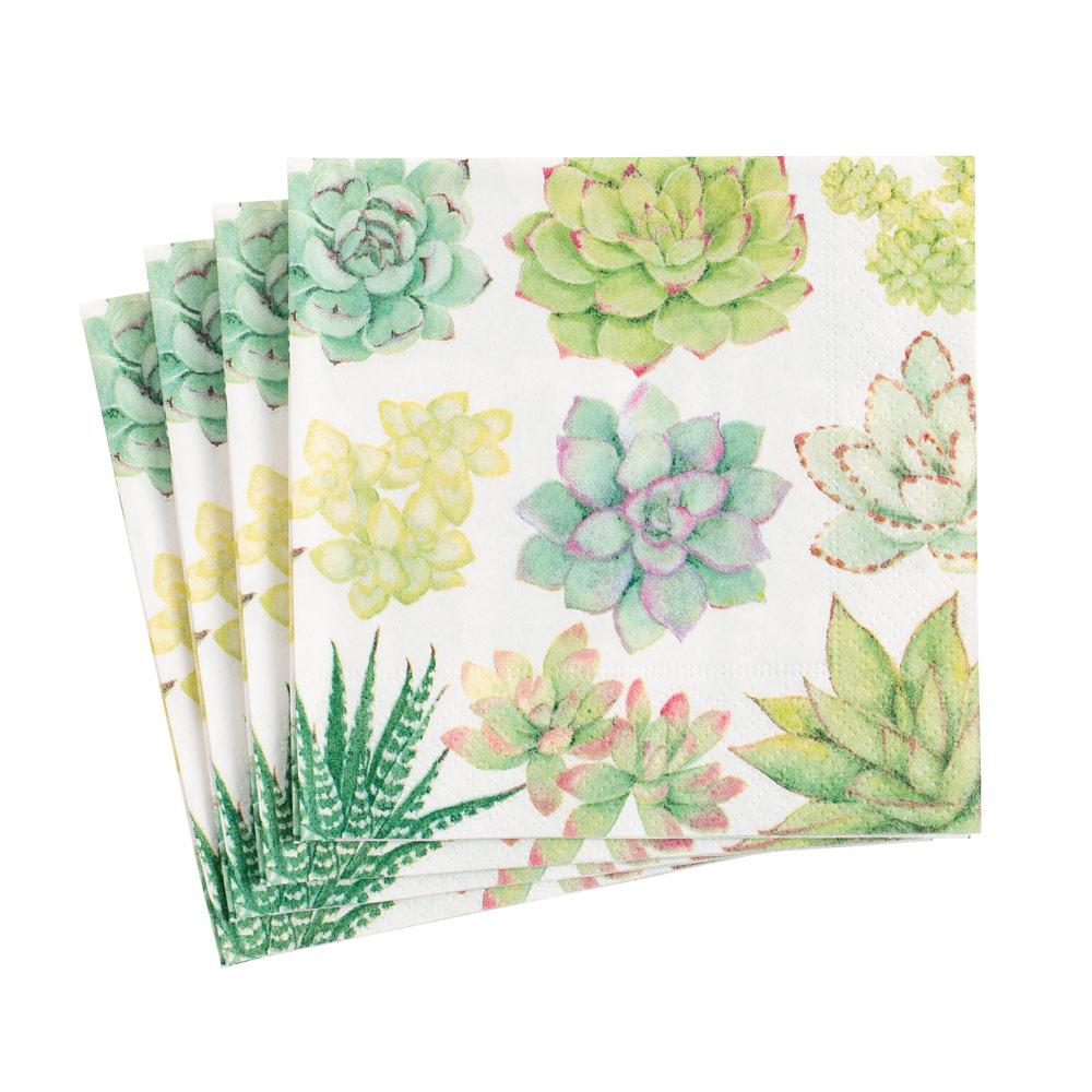 Succulents Paper Cocktail Napkins - Cocktail Napkin - Tampa Home & Garden Store