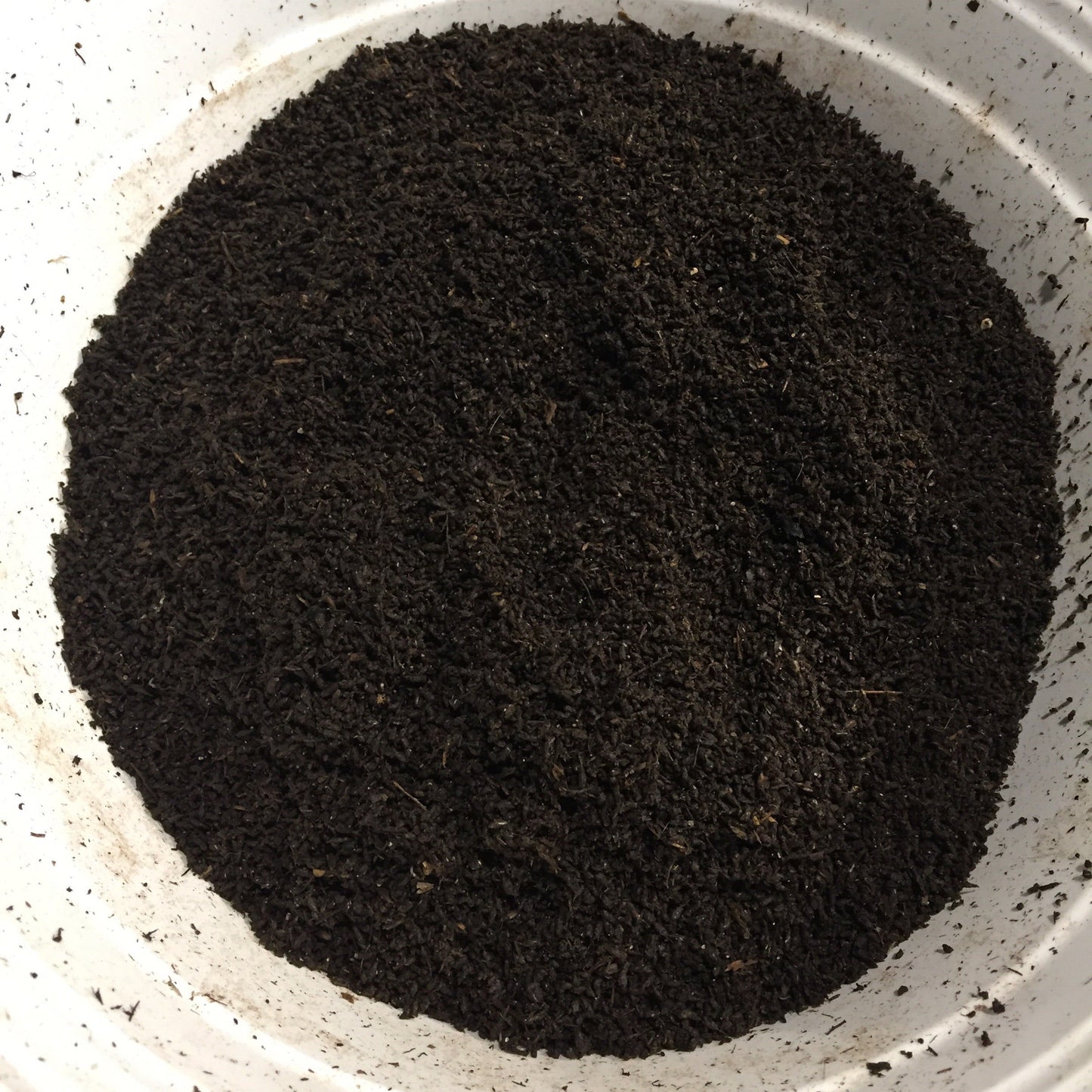 Super Grow Worm Castings - Super Food for your Plants (CSC) - Tampa Home & Garden Store