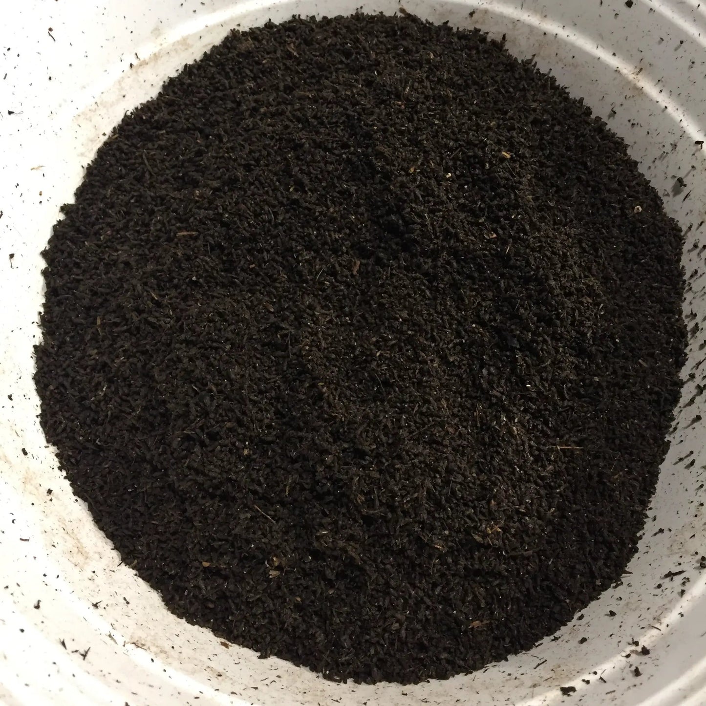 Super Grow Worm Castings - Super Food for your Plants (CSC) - Tampa Home & Garden Store