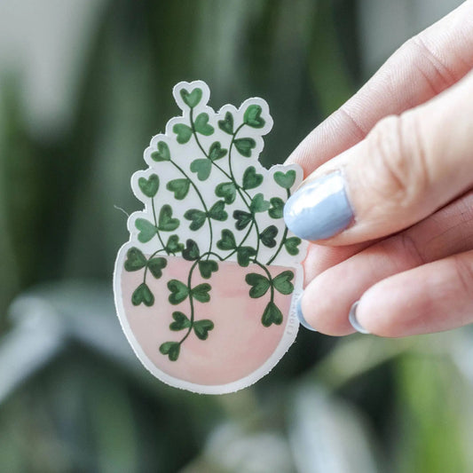 Sweetheart Plant Clear Decal Sticker with green heart-shaped leaves, transparent background on Tampa Home & Garden Store