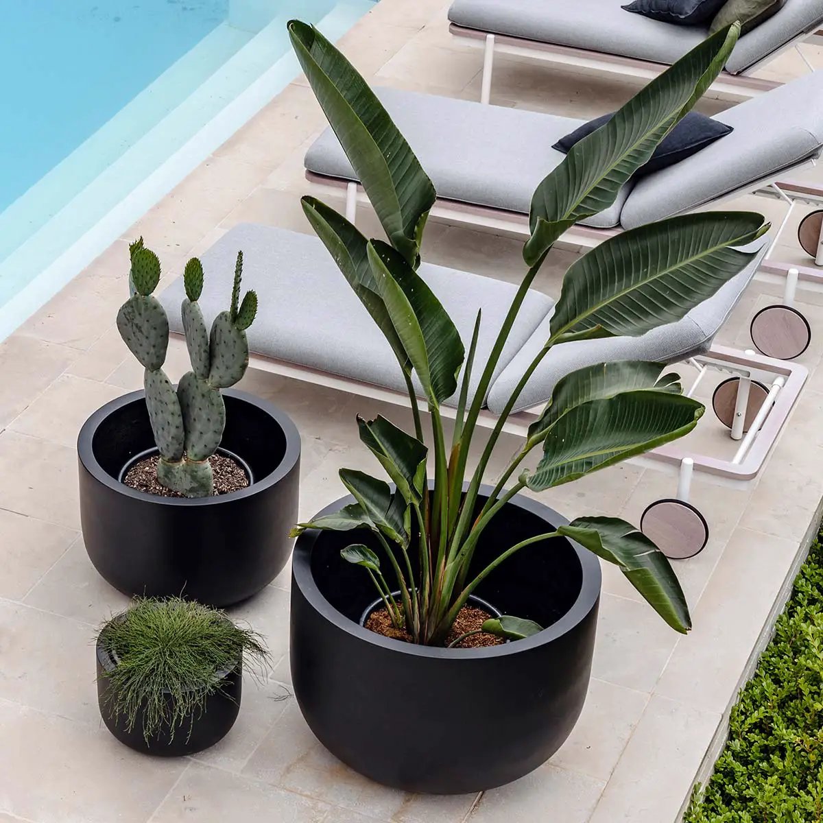 Chop Low-Profile Planter with Wide Rim - matte black round planters (3) The Balcony Garden US on Tampa Home & Garden Store