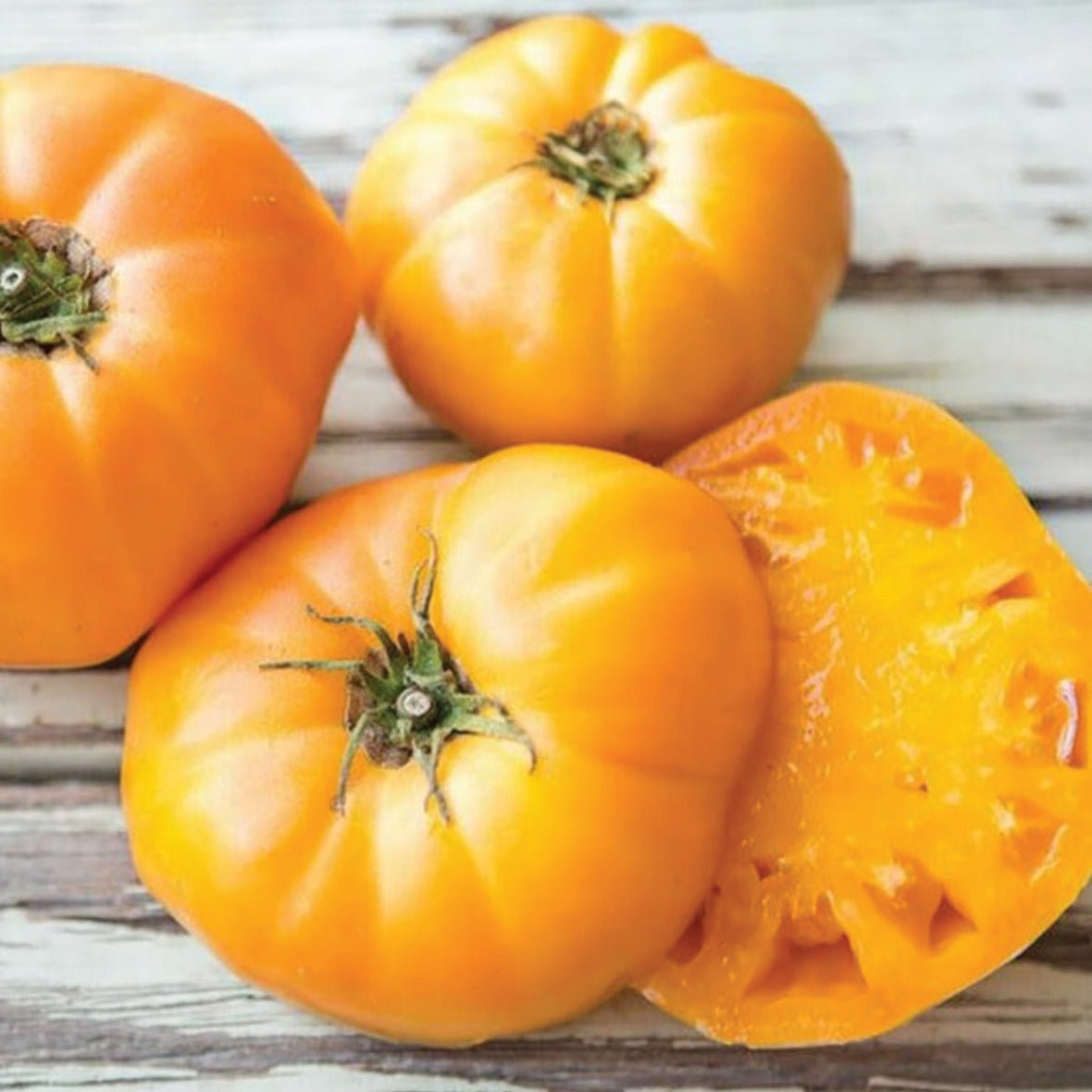 Goldie Tomato seeds: four orange tomatoes, one cut open, Seedtime Store on Tampa Home & Garden Store