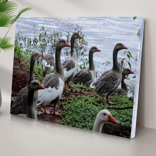 Flock of domestic geese canvas wall art by Tailored Canvases crafting canvas on Tampa Home & Garden Store