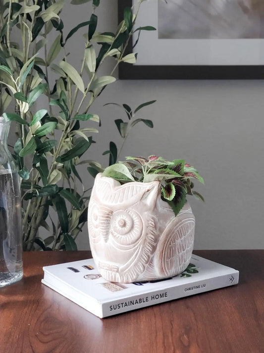 Terracotta Pot - Horned Owl - Tampa soil911.com