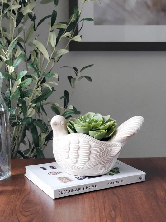 Terracotta Pot - Turtle Dove - Tampa soil911.com