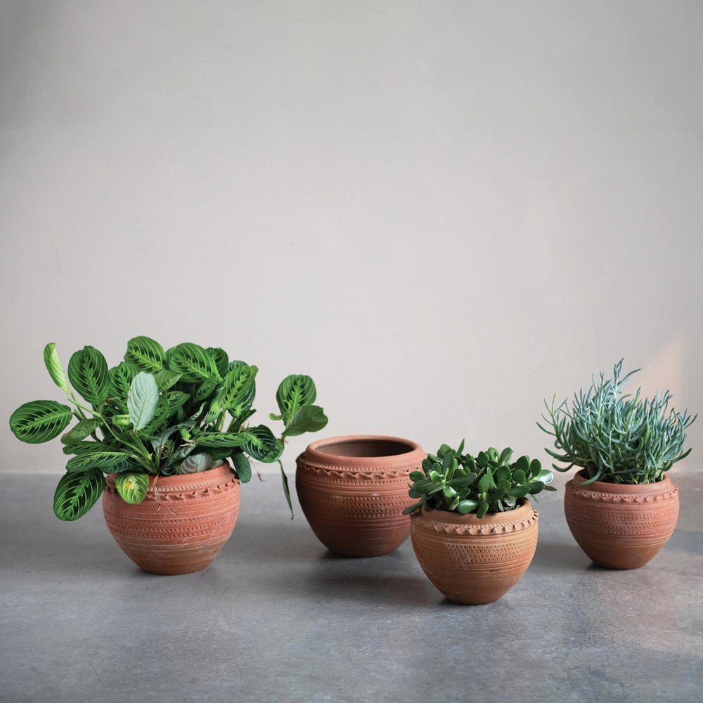 Textured Terracotta Pot - Tampa Home & Garden Store
