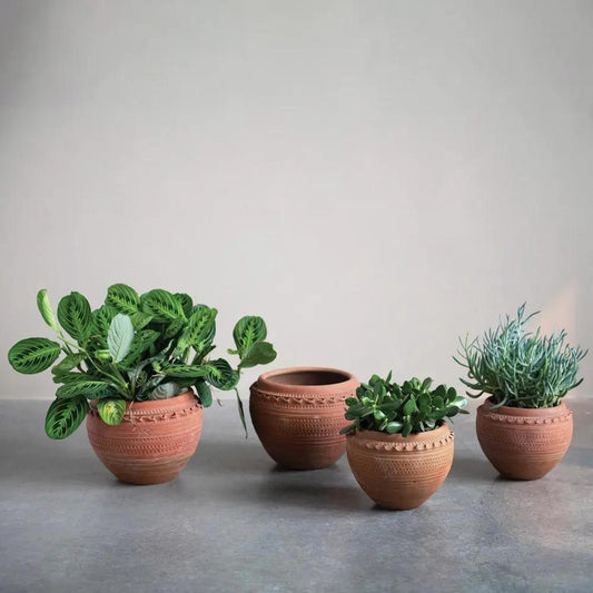 Set of four textured terracotta pots with matte finish and lush green plants on Tampa Home & Garden Store