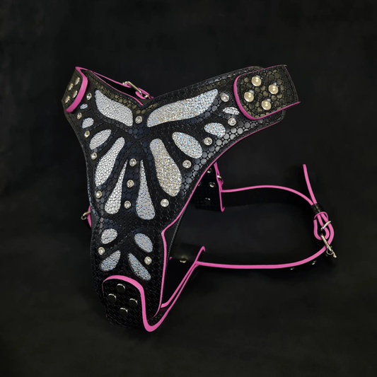 Ariel harness for medium to giant dogs by Bestia, black studded leather with pink trim on Tampa Home & Garden Store