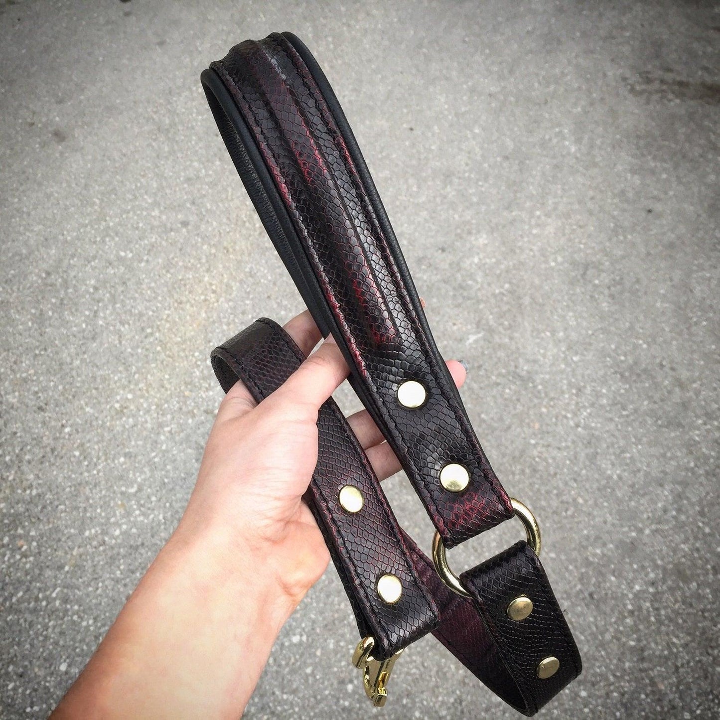 The ''COBRA'' leash - Tampa Home & Garden Store