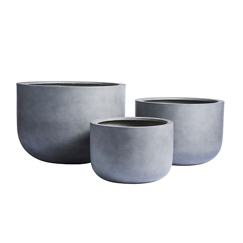 The Chop Low-Profile Planter | Wide Rim Feature Tree Pot