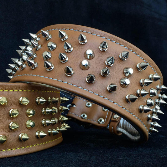 The "Crown" collar - Tampa Home & Garden Store