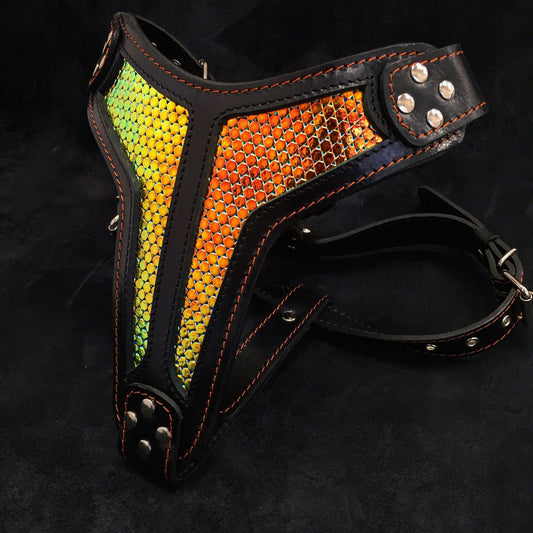 The ''D`Albertis'' harness LIMITED - Tampa Home & Garden Store