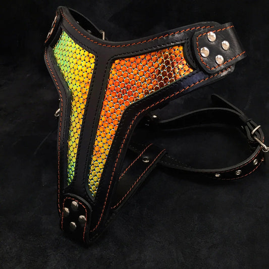 D'Albertis Harness for medium to giant dogs, black leather with iridescent panels on Tampa Home & Garden Store