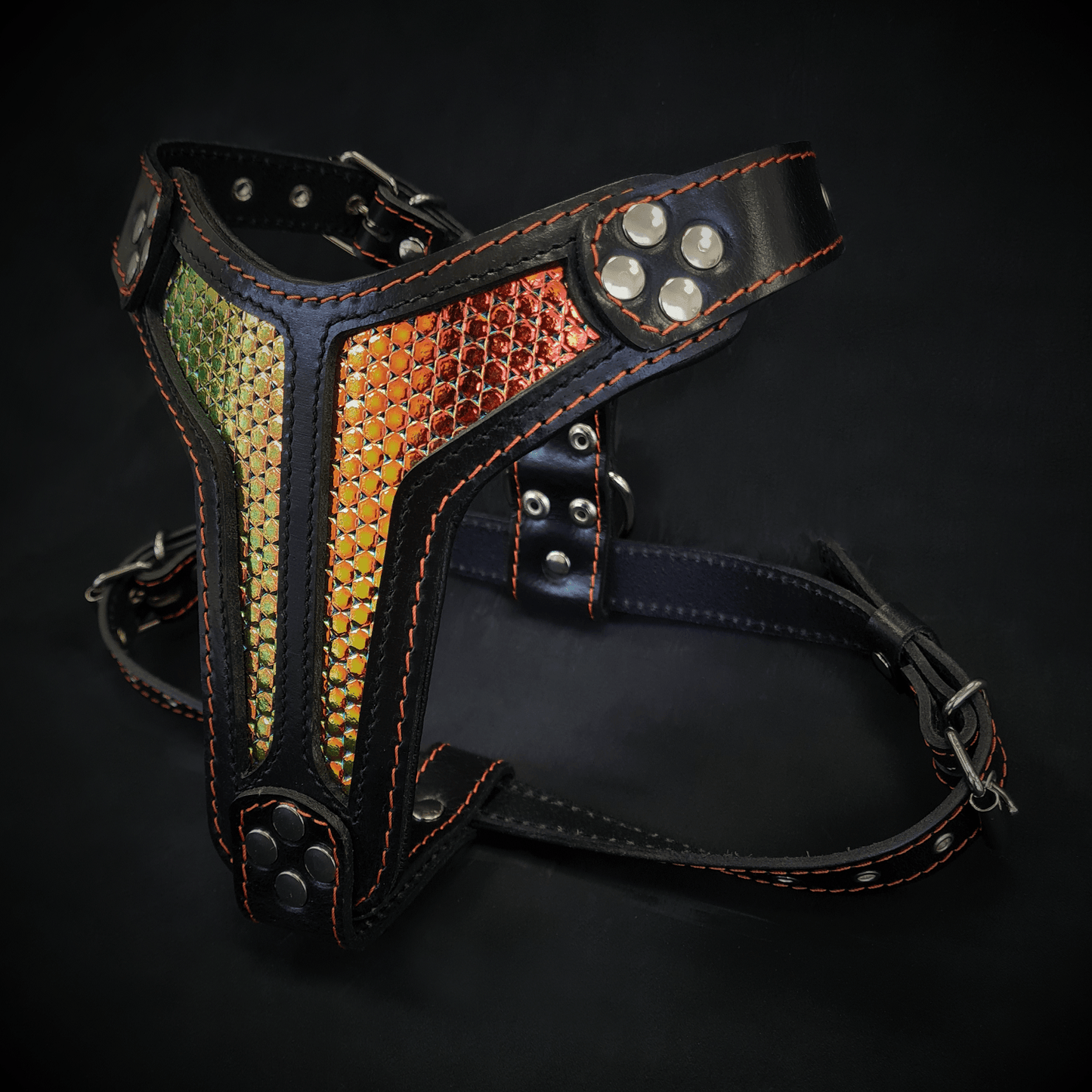 The ''D`Albertis'' harness Medium Size - Tampa Home & Garden Store