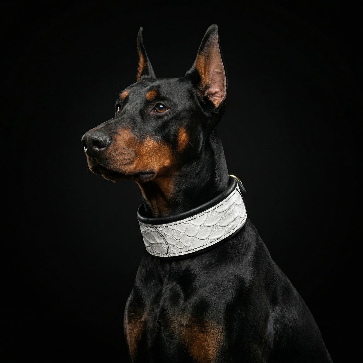 The ''Dragon Scale'' LIMITED collar exclusive design - Tampa Home & Garden Store