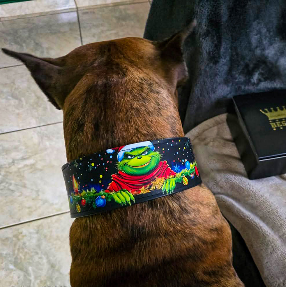The Grinch Limited Collar - Tampa Home & Garden Store