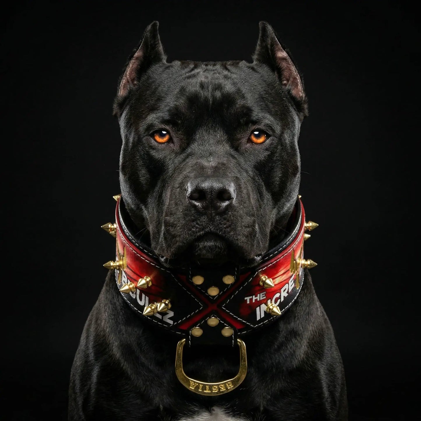 Incredibullz Royalty Collar red leather with gold spikes by Bestia Dog Gear on Tampa Home & Garden Store