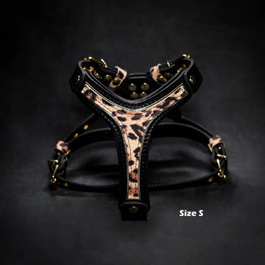 Bestia Leopard Harness for Small to Medium, leopard print with gold hardware Size S on Tampa Home & Garden Store