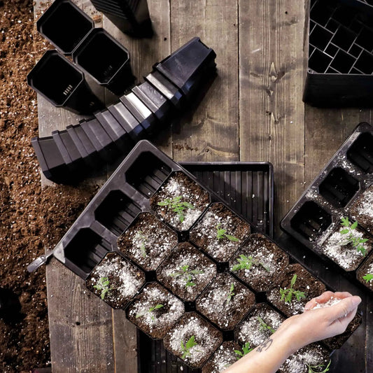 The Market Gardener Seed Starting Bundle - Tampa soil911.com