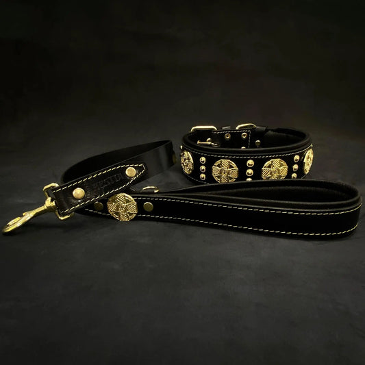 Maximus collar 2.5in wide black and gold leather dog collars with studs and conchos Bestia Gear on Tampa Home & Garden Store